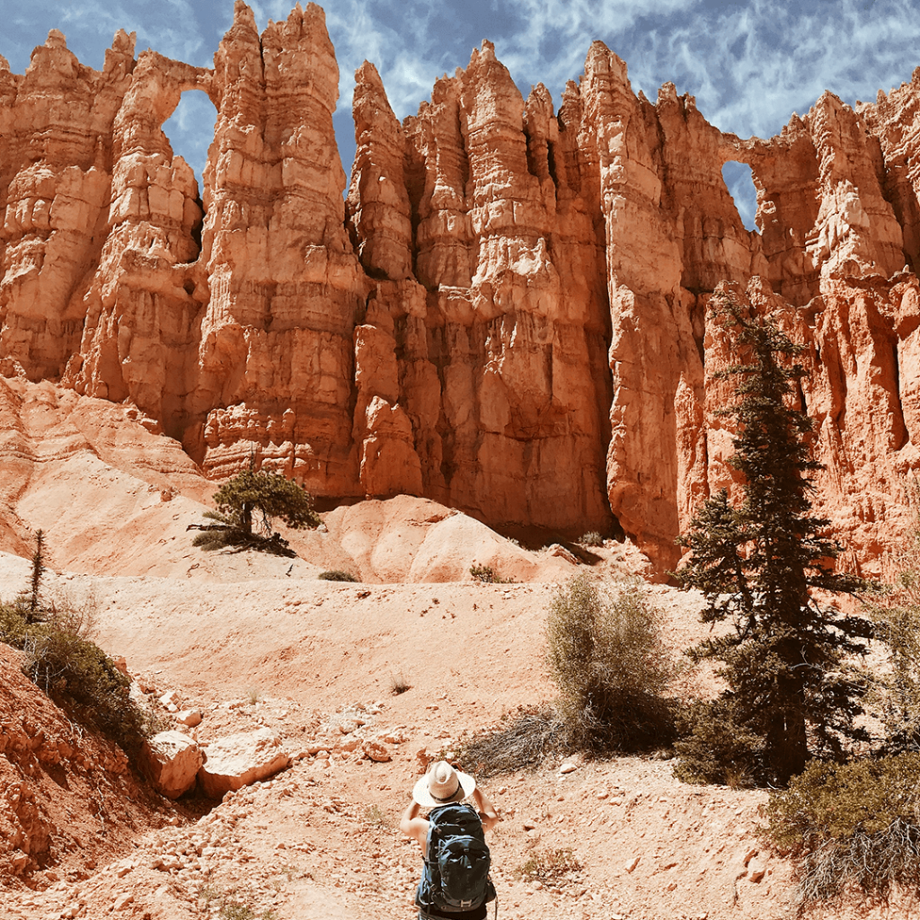 Yellowstone landscape